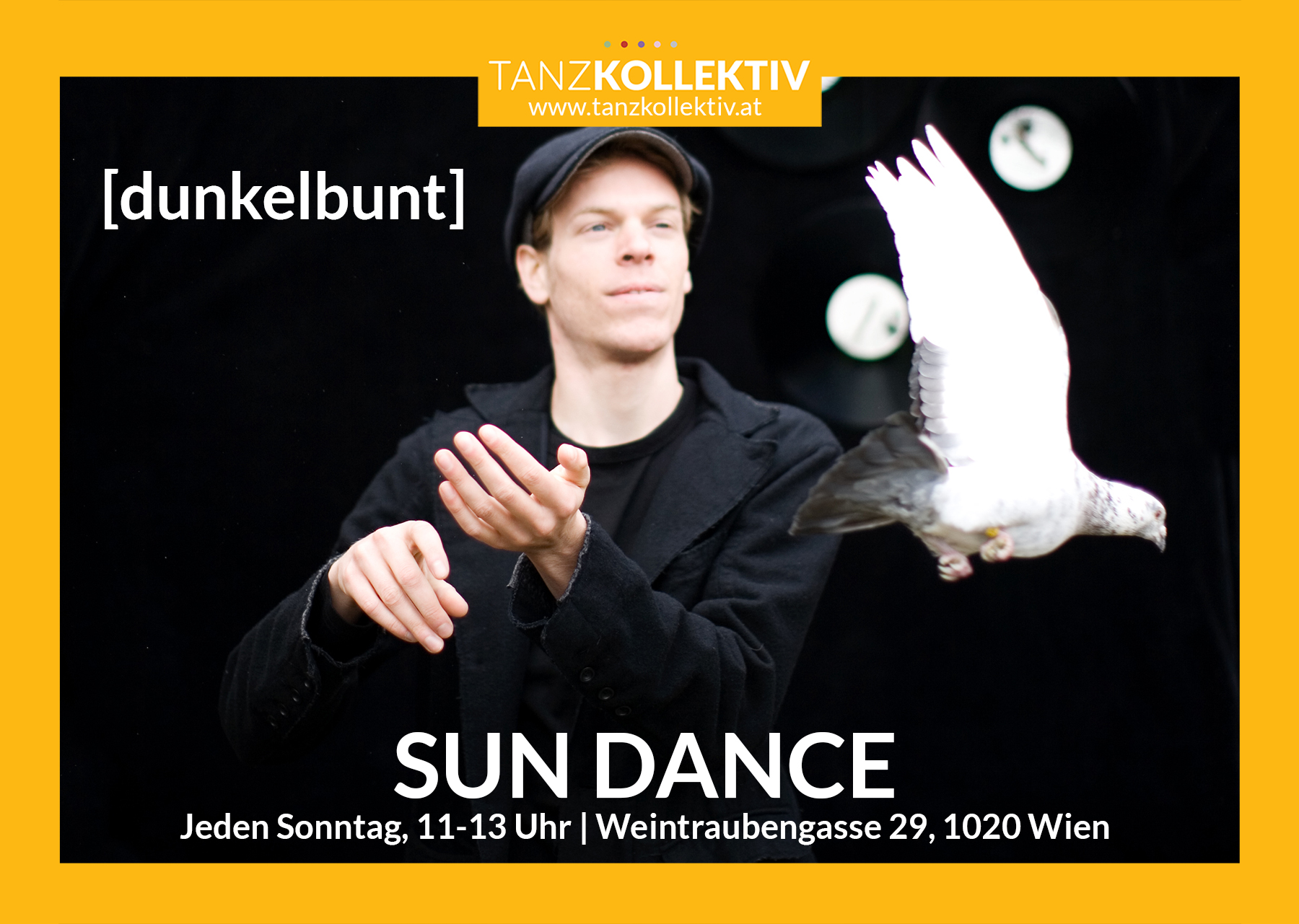 SUN DANCE mit [dunkelbunt]