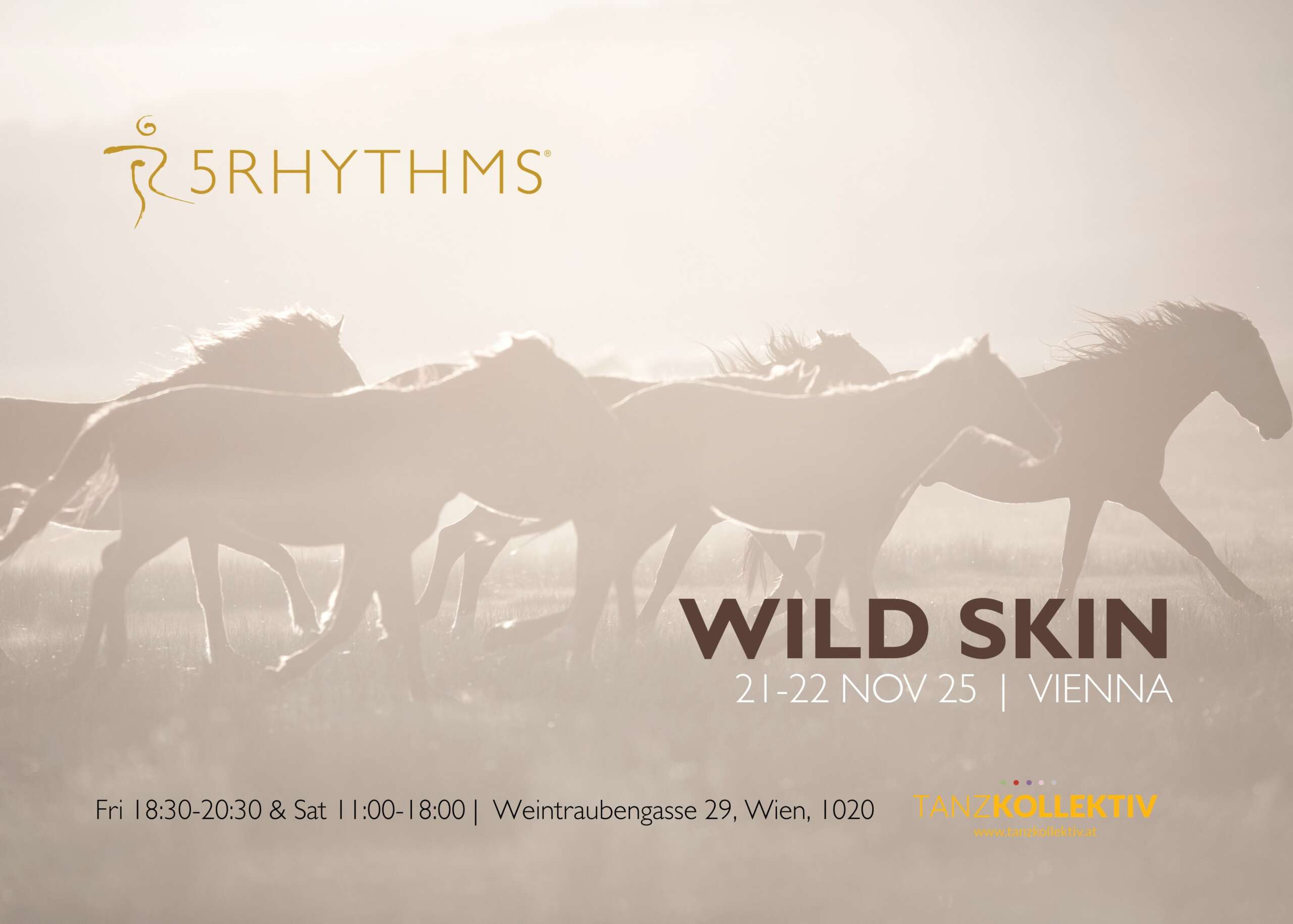 5RHYTHMS PROMO MATERIALS.jpg